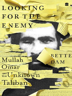 cover image of Looking for the Enemy